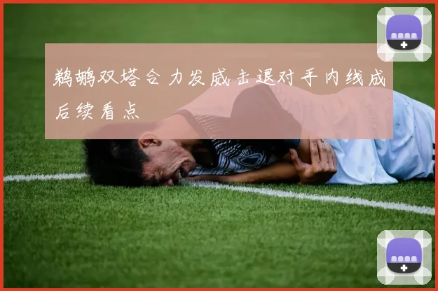 鹈鹕双塔合力发威击退对手内线成后续看点