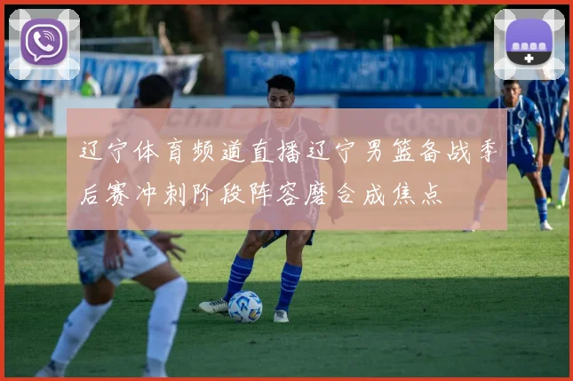 辽宁体育频道直播辽宁男篮备战季后赛冲刺阶段阵容磨合成焦点