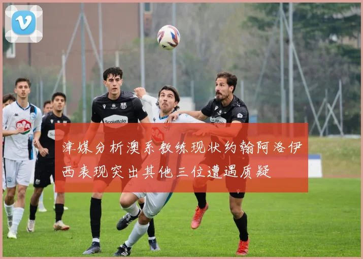 津媒分析澳系教练现状约翰阿洛伊西表现突出其他三位遭遇质疑